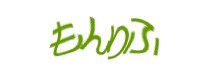 Authentication image