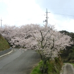 20140404-2.jpg