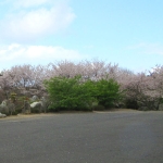20140404-5.jpg