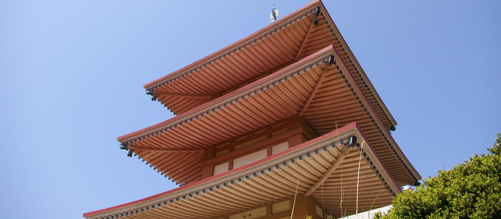 樹木葬　妙法寺